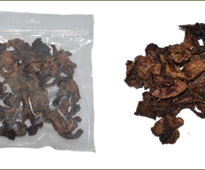King's Konijnenlong - 100 gram