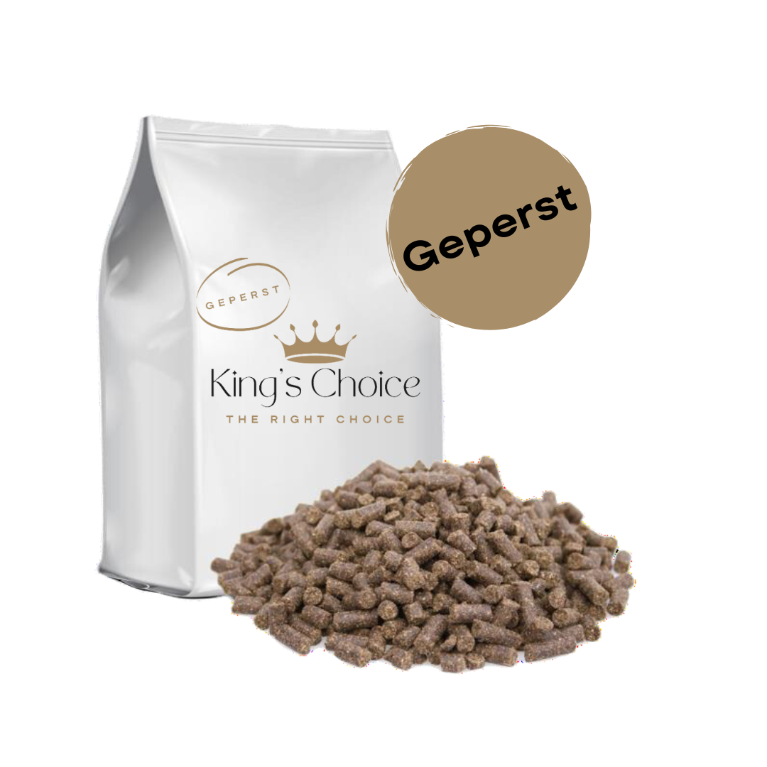 King's Super Premium Geperst Puppy